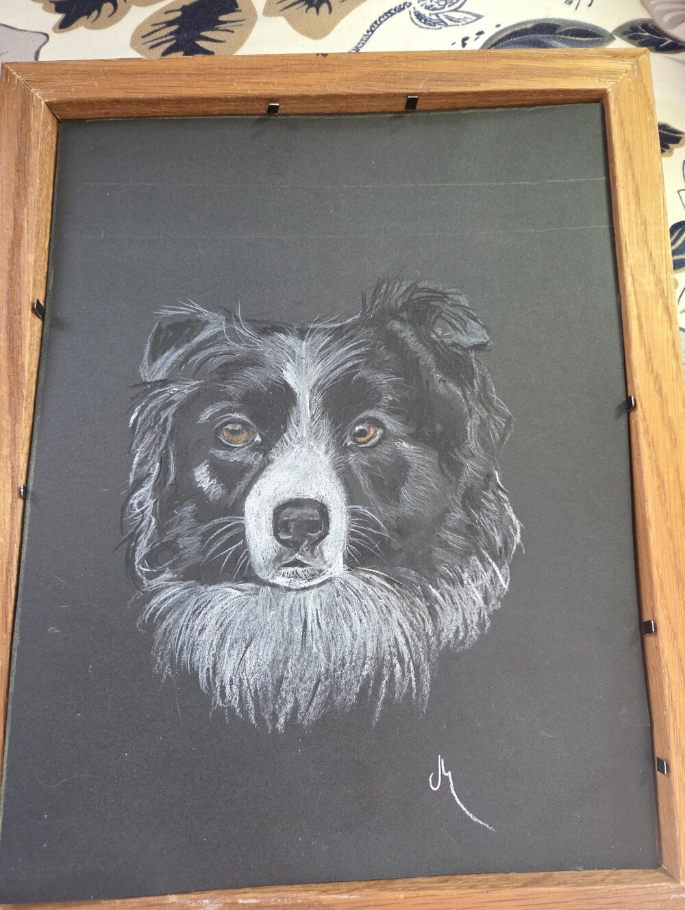 Framed Black and White Border Collie Pet Portrait - Dog Wall Art Signed - Picture 2 of 3